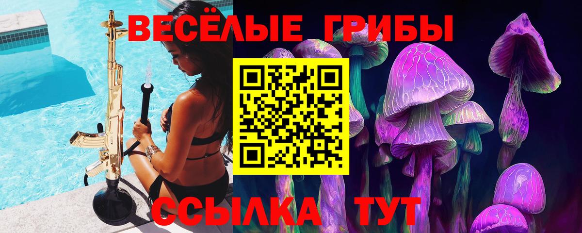 Галлюциногенные грибы мицелий  Вход с VPN  Соль-Илецк 