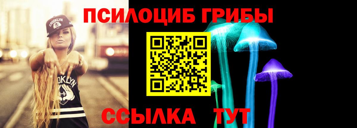 Псилоцибиновые грибы Psilocybine cubensis Соль-Илецк